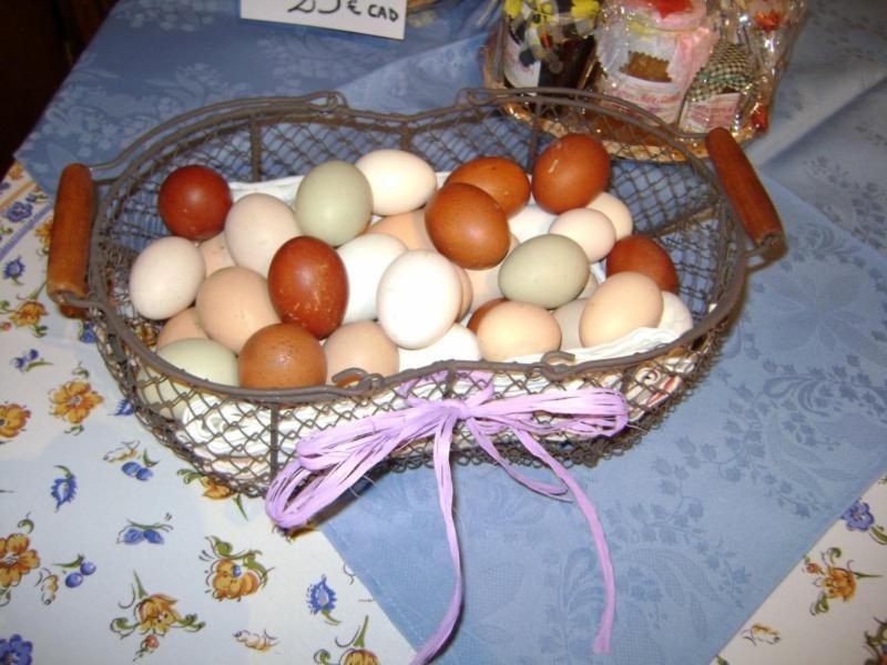 카스텔 누오보 보르미다 Cascina Beneficio 빌라 외부 사진